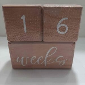 Wooden Newborn Weeks/Months Photo Blocks